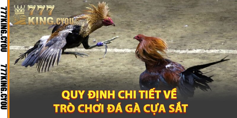 Quy định chi tiết về trò chơi đá gà cựa sắt